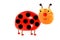 Creative food concept. Funny little ladybird made from fruit an