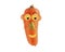 Creative food concept. Funny portrait made of carrot and fruits