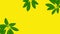 Creative footage illustration animation appearing green fresh tropical plants palm leaves on yellow background. Floral botanical