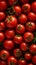 Creative fruits composition. Beautiful red tomato tomatoes glistering with dew water droplet