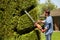 Creative gardener shaping geometric ornament with hedge trimmer in topiary park.