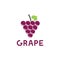 Creative Grape Logo Vector Art Logo