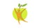 Creative Green Apple Healthy Body Logo
