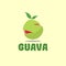 Creative Guava Logo Vector Art Logo