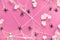 Creative Halloween background with white ginkgo leaves, spider web and black spiders on pink paper. Flat lay, top view, trendy