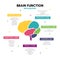 Creative human brain infographic concept lobe mind