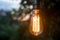 Creative idea concept - lonely retro bulb glow in the garden