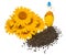 Creative idea flower of a group sunflower, seeds