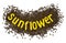 Creative idea flower of a sunflower seeds