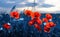 Creative image of red poppies in a field at sunset.