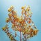 Creative Image Of Young Tree On Background Of Blue Sky As Symbol Of New Life. Colorful Natural Pattern