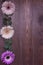 Creative layout with beautiful gerber flowers on wooden dark background