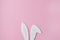 Creative layout cute bunny ears on a pink background Easter minimalist concept flat lay top view