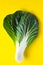 Creative layout made of bok choy, pak choi or Chinese cabbage on yellow background. Flat lay. Food concept. Copy space