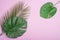 Creative layout made of colorful tropical leaves on pink background. Minimal summer exotic concept with copy space