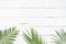 Creative layout made of colorful tropical palm leaves on white wooden background. Minimal summer exotic concept with