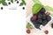 Creative layout made of  fresh blackberries fruit rubus fruticosus with space for text isolated