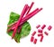 Creative layout made of Fresh Rhubarb or Rheum with stalks, leaves  and pieces  vegetable  on white background. Top view.