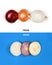 Creative layout made of three onion bulbs of different colors red, yellow and white