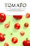 Creative layout made of tomato on the green background. Creative flat lay set of tomatoes with simple text on white background,