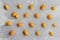 Creative layout pattern. Kumquat citrus fruits composition flat lay on grey concrete background