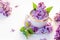 Creative lilac flowers in milk water. Beauty and wellness treatments with flower petals in bath. Summer concept of freshness, puri