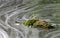 Creative longexposure photography with water at daytime in summer