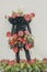 Creative luxurious dark dress with live red calla lilies on a mannequin. Holiday of amazing colors and delicious flavors in