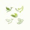 Creative luxury modern bird with green leaf logo template