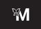This is a creative M letter butterfly icon design