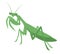Creative mantis illustration