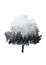 Creative misty trees overlay