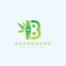 Creative and modern Green Bamboo B Letter logo design template vector eps