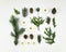 Creative natural layout of winter plants parts on white background. Flat lay, top view