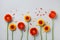Creative nature composition of beautiful yellow and orange gerbera flowers with petals. Autumn windy day. Flat lay