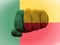 Creative photo of a hand with the national flag of Benin