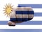Creative photo of a hand with the national flag of Uruguay
