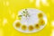 Creative photo idea with yellow flowers. White plastic paint palette with yellow dandelions.