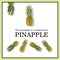 Creative Pineapple layout with sample text. Pineapple on white background. Tropical fruits concept