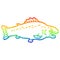 A creative rainbow gradient line drawing cartoon large fish