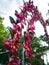 Creative recycling: handmade flowers made from scraps of plastic bottles into arch entrance