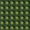 Creative regular seamless pattern of green cactus succulent plants with hard shadows on green background. Top view