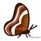 Creative sample design butterflies logo