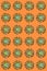 Creative seamless pattern of rainbow colored cactus succulent rosettes on orange background. Vertical orientation