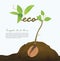 Creative seed idea abstract info graphic, concept.