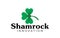 Creative Shamrock Green clover logo design
