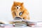 Creative smart, serious dog Pomeranian spitz listening audiobook to relax, exam preparation,