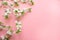 Creative springtime layout, spring white blossom branches on pastel pink. Floral pattern. Banner or template. View from above,