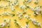 Creative springtime layout, spring white blossom branches on punchy yellow. Floral pattern. Flat lay