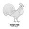 Creative stylized rooster